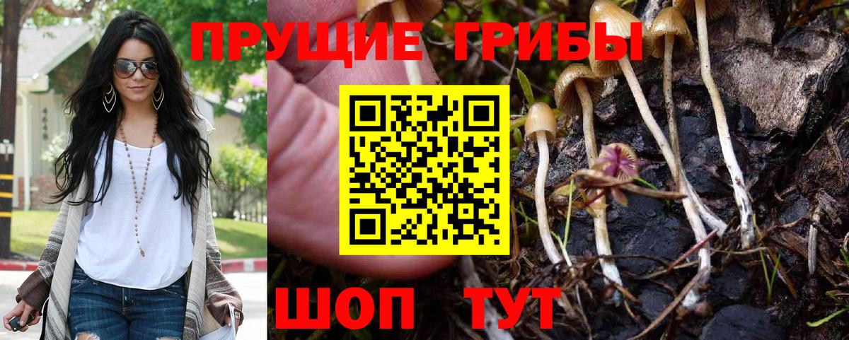 Псилоцибиновые грибы мухоморы Озёрск